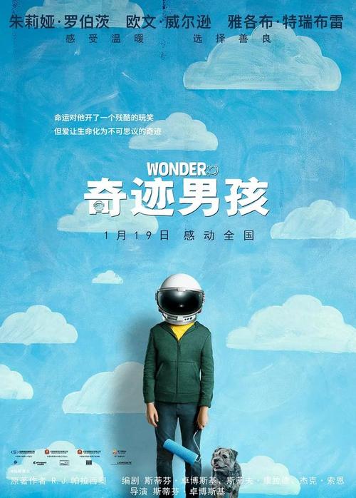 尼日利亚护照电子版怎么买到